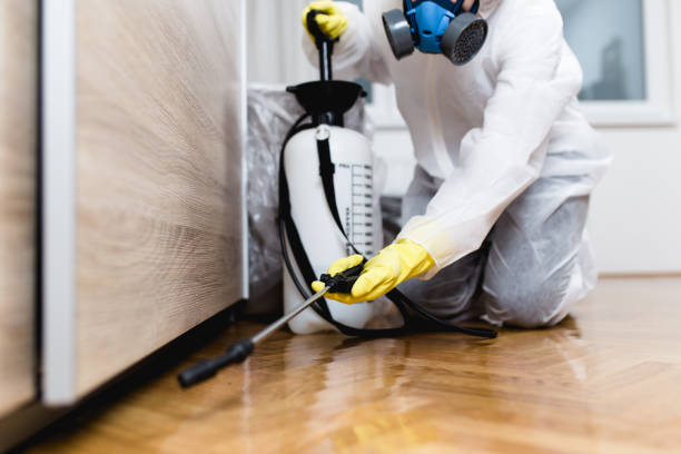 Best Wasp Removal Services  in Garner, IA