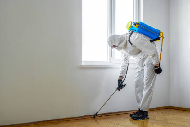 Best Termite Control Services  in Garner, IA