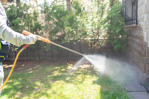 Best Local Pest Control Services  in Garner, IA
