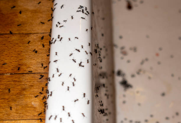 Pest Control Cost in Garner, IA