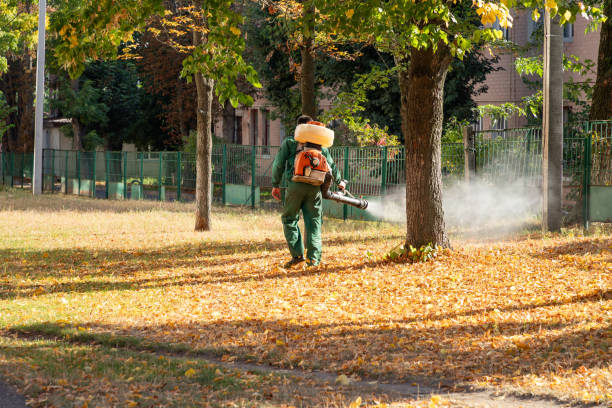 Best Mosquito Control Services  in Garner, IA