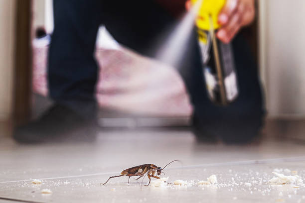 Best Wildlife Control Services  in Garner, IA