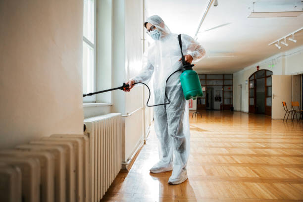 Best Rat Extermination Near Me  in Garner, IA