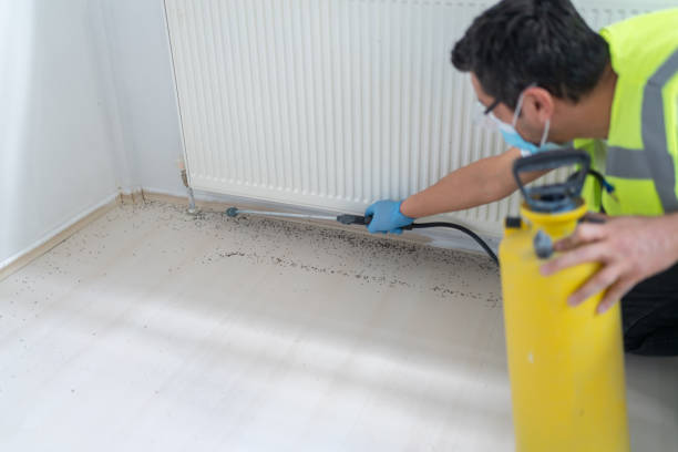 Best Bed Bug Extermination  in Garner, IA